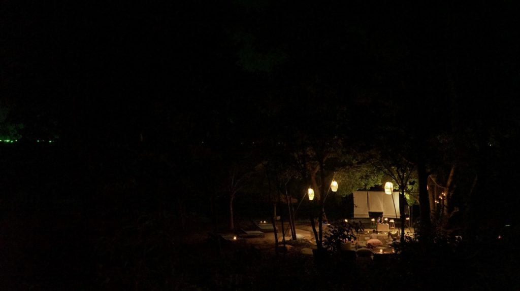 Tree and Sea intimate concert 2022
